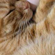 ヒメ日記 2025/09/19 21:35 投稿 佐々木りょうこ 若奥サマンサ（横浜ハレ系）