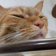 ヒメ日記 2025/09/20 09:35 投稿 佐々木りょうこ 若奥サマンサ（横浜ハレ系）