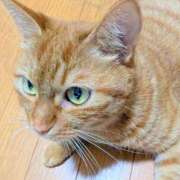 ヒメ日記 2025/09/23 22:02 投稿 佐々木りょうこ 若奥サマンサ（横浜ハレ系）