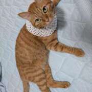 ヒメ日記 2025/09/24 21:22 投稿 佐々木りょうこ 若奥サマンサ（横浜ハレ系）