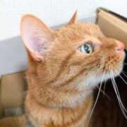 ヒメ日記 2025/09/25 07:18 投稿 佐々木りょうこ 若奥サマンサ（横浜ハレ系）