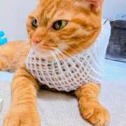 ヒメ日記 2025/09/27 00:21 投稿 佐々木りょうこ 若奥サマンサ（横浜ハレ系）