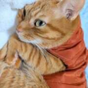 ヒメ日記 2025/10/25 09:41 投稿 佐々木りょうこ 若奥サマンサ（横浜ハレ系）