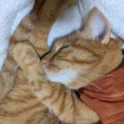 ヒメ日記 2025/10/29 08:08 投稿 佐々木りょうこ 若奥サマンサ（横浜ハレ系）