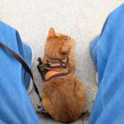 ヒメ日記 2025/11/01 18:16 投稿 佐々木りょうこ 若奥サマンサ（横浜ハレ系）