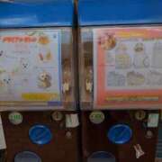 ヒメ日記 2025/11/05 23:40 投稿 佐々木りょうこ 若奥サマンサ（横浜ハレ系）