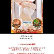 ヒメ日記 2025/11/23 20:11 投稿 佐々木りょうこ 若奥サマンサ（横浜ハレ系）