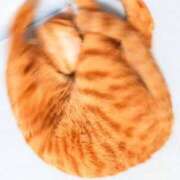 ヒメ日記 2025/12/06 10:06 投稿 佐々木りょうこ 若奥サマンサ（横浜ハレ系）