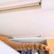 佐々木りょうこ 隠れてるつもり 若奥サマンサ（横浜ハレ系）