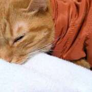 佐々木りょうこ [お題]from:お尻大好きさん 若奥サマンサ（横浜ハレ系）