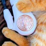 ヒメ日記 2026/02/06 22:42 投稿 佐々木りょうこ 若奥サマンサ（横浜ハレ系）