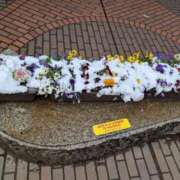 ヒメ日記 2026/02/08 17:33 投稿 佐々木りょうこ 若奥サマンサ（横浜ハレ系）