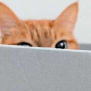 ヒメ日記 2026/02/10 21:54 投稿 佐々木りょうこ 若奥サマンサ（横浜ハレ系）