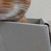 ヒメ日記 2026/02/13 22:25 投稿 佐々木りょうこ 若奥サマンサ（横浜ハレ系）