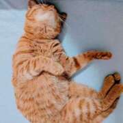 ヒメ日記 2026/02/14 23:55 投稿 佐々木りょうこ 若奥サマンサ（横浜ハレ系）