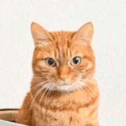 ヒメ日記 2026/02/15 18:42 投稿 佐々木りょうこ 若奥サマンサ（横浜ハレ系）