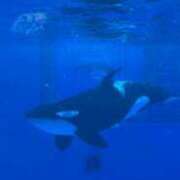 ヒメ日記 2025/10/29 12:08 投稿 渋谷　みのり エテルナ京都