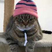 ヒメ日記 2026/03/11 21:41 投稿 渋谷　みのり エテルナ京都