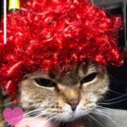 ヒメ日記 2026/03/12 11:41 投稿 渋谷　みのり エテルナ京都