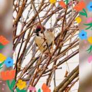 ヒメ日記 2025/02/07 09:34 投稿 木嶋りさ ミセス・レヴォアール～再会～