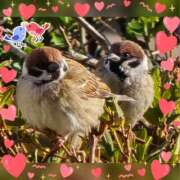 ヒメ日記 2025/03/14 09:19 投稿 木嶋りさ ミセス・レヴォアール～再会～