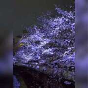 ヒメ日記 2025/03/29 17:19 投稿 木嶋りさ ミセス・レヴォアール～再会～