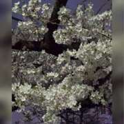 ヒメ日記 2025/03/29 19:01 投稿 木嶋りさ ミセス・レヴォアール～再会～