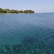 ヒメ日記 2025/05/06 08:36 投稿 木嶋りさ ミセス・レヴォアール～再会～