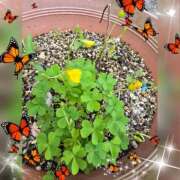 ヒメ日記 2025/05/15 09:14 投稿 木嶋りさ ミセス・レヴォアール～再会～