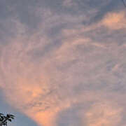 ヒメ日記 2025/07/24 20:04 投稿 木嶋りさ ミセス・レヴォアール～再会～