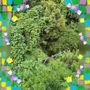 ヒメ日記 2025/08/12 18:00 投稿 木嶋りさ ミセス・レヴォアール～再会～