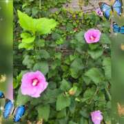 ヒメ日記 2025/09/20 09:59 投稿 木嶋りさ ミセス・レヴォアール～再会～