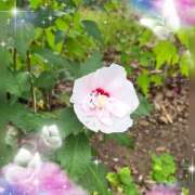 ヒメ日記 2025/10/01 09:10 投稿 木嶋りさ ミセス・レヴォアール～再会～