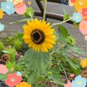 ヒメ日記 2025/10/02 18:00 投稿 木嶋りさ ミセス・レヴォアール～再会～