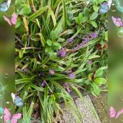 ヒメ日記 2025/10/29 21:22 投稿 木嶋りさ ミセス・レヴォアール～再会～