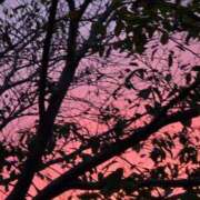 ヒメ日記 2025/11/03 17:20 投稿 木嶋りさ ミセス・レヴォアール～再会～