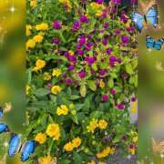 ヒメ日記 2025/11/10 18:35 投稿 木嶋りさ ミセス・レヴォアール～再会～