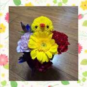 ヒメ日記 2025/11/14 17:30 投稿 木嶋りさ ミセス・レヴォアール～再会～