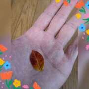 ヒメ日記 2025/11/16 12:10 投稿 木嶋りさ ミセス・レヴォアール～再会～