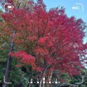 ヒメ日記 2025/11/23 16:44 投稿 木嶋りさ ミセス・レヴォアール～再会～