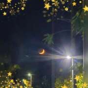 ヒメ日記 2025/11/24 21:16 投稿 木嶋りさ ミセス・レヴォアール～再会～