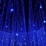 ヒメ日記 2025/12/05 18:09 投稿 木嶋りさ ミセス・レヴォアール～再会～