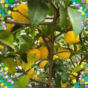 ヒメ日記 2025/12/12 17:00 投稿 木嶋りさ ミセス・レヴォアール～再会～