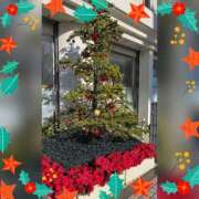 ヒメ日記 2025/12/13 09:53 投稿 木嶋りさ ミセス・レヴォアール～再会～