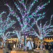 ヒメ日記 2025/12/23 18:45 投稿 木嶋りさ ミセス・レヴォアール～再会～