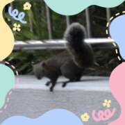 ヒメ日記 2025/12/28 22:21 投稿 木嶋りさ ミセス・レヴォアール～再会～