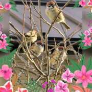 木嶋りさ 朝から ミセス・レヴォアール～再会～