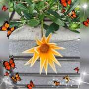 ヒメ日記 2026/01/22 10:00 投稿 木嶋りさ ミセス・レヴォアール～再会～