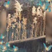 ヒメ日記 2026/01/26 18:29 投稿 木嶋りさ ミセス・レヴォアール～再会～