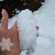 ヒメ日記 2026/02/09 09:00 投稿 木嶋りさ ミセス・レヴォアール～再会～